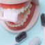 dientes postizos fijos